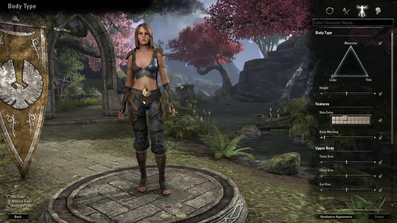 The Elder Scrolls Online Video Shows Character Creation