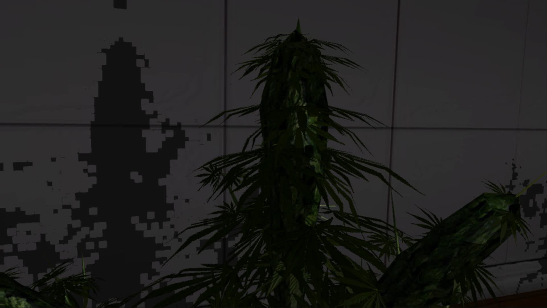 iGrow Game Trailer video Indie DB