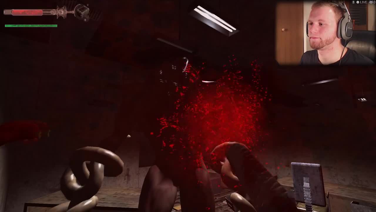 Let's Play Bleeding Border | I'M BLEEDING EVERYWHE video - ModDB