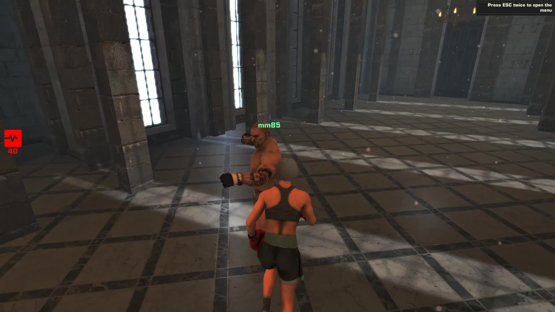 Training of the combat system in the game video - Fight Arena - ModDB